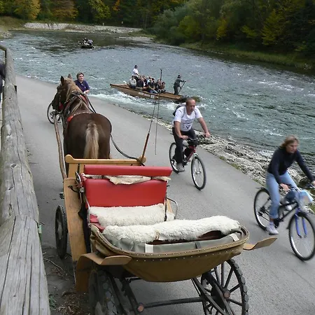 Guest house Pieninka 3*